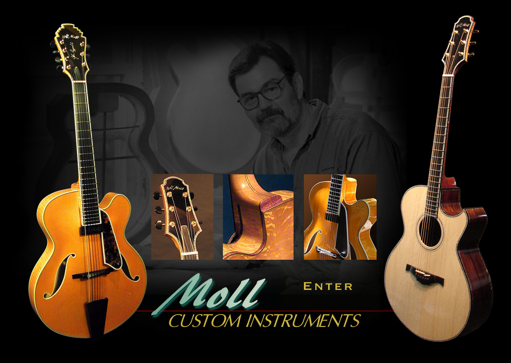 Moll Custom Instruments
